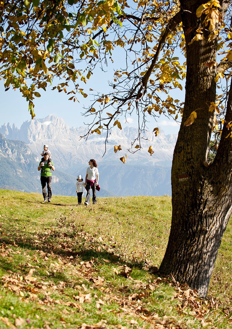  Autunno in Val d’Adige