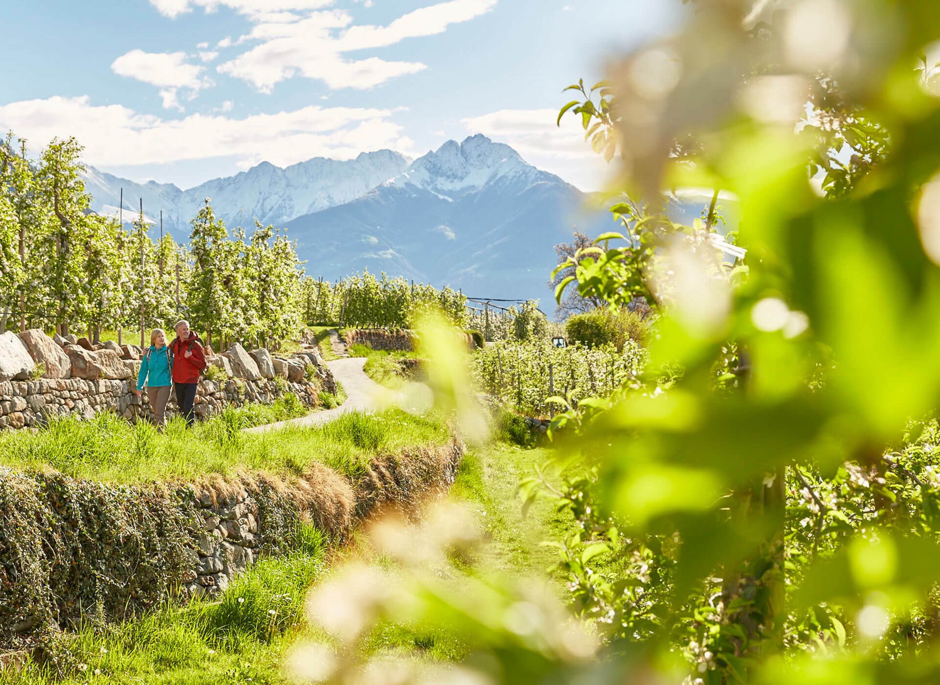 Wanderurlaub im Meraner Land